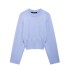 Foreign Trade 2024 Autumn New Knitted Shirt Women's European and American Style Round Neck Solid Color Loose Head Long Sleeve 5536133