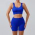 New European and American Ins seamless knitted sexy sports short sleeved shorts yoga suit yoga set for women