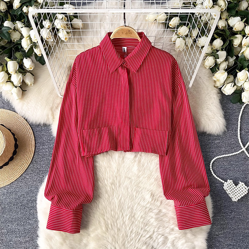 Women's shirt 2025 new design sense niche versatile short style long sleeved lapel striped shirt European and American style top