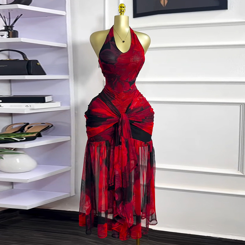 European and American women's clothing 2025 summer new sweet and fresh printed mesh hanging neck high-end temperament lace up dress long skirt