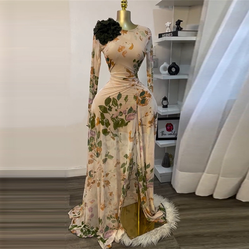 European and American women's clothing 2025 autumn new item sweet and fresh mesh printed round neck long sleeved high waisted slimming slit dress