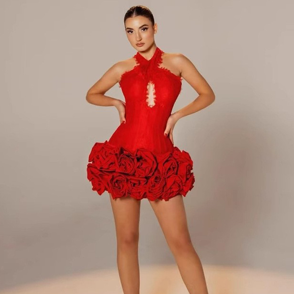 Cross border European and American new sexy hanging neck backless lace border red flower tight party bandage mini dress