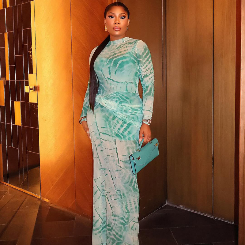 Cross border printed mesh dress with European and American style, women's waist cinching, slim fitting, hip hugging skirt, high neck, fashionable long sleeved, temperament long dress