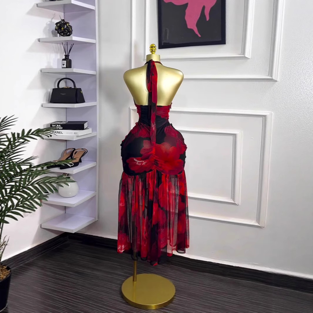 Spot 2025 Cross border European and American Summer Hanging Neck Dress Women's Bag Hip Sexy temperament Printed Open Back Long Dress Spot 2025 Cross border European and American Summer Hanging Neck Dress Women's Bag Hip Sexy temperament Printed Open Back Long Dress