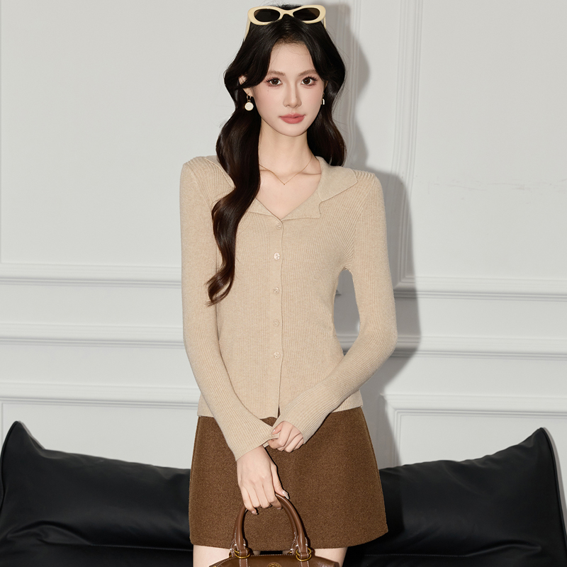 French polo collar knitted sweater for women's autumn 2025 new design, niche slim fit sweater top French polo collar knitted sweater for women's autumn 2025 new design, niche slim fit sweater top