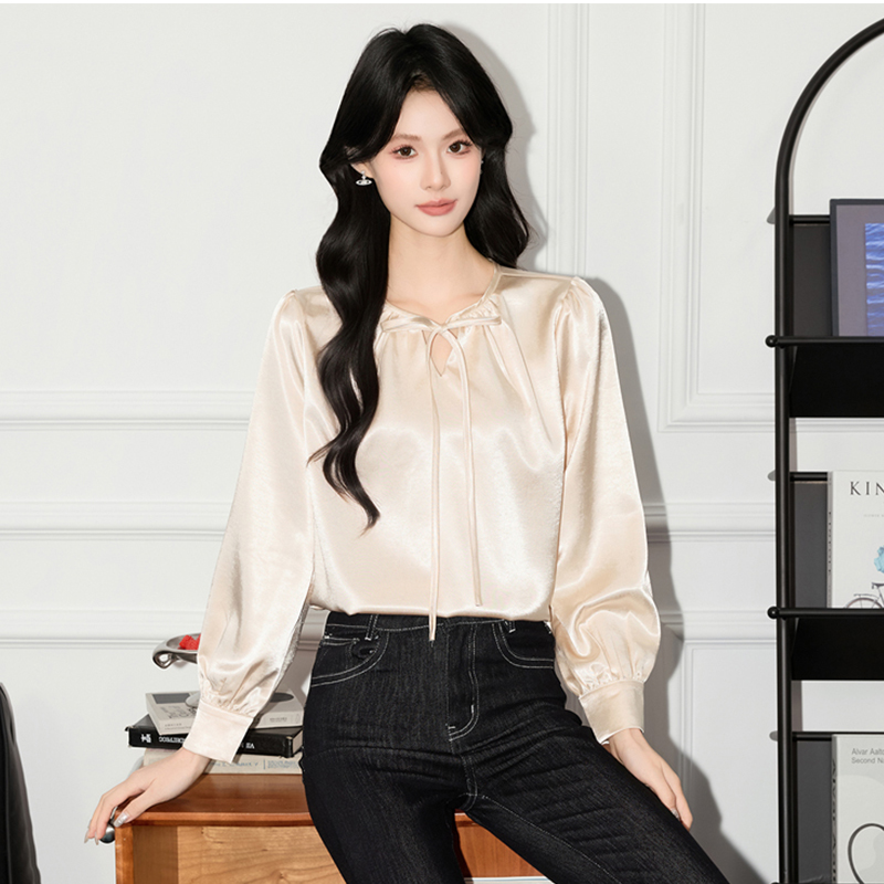 2025 early autumn beautiful and attractive shirt, small shirt, women's design sense, niche fashion, western-style casual versatile long sleeved shirt