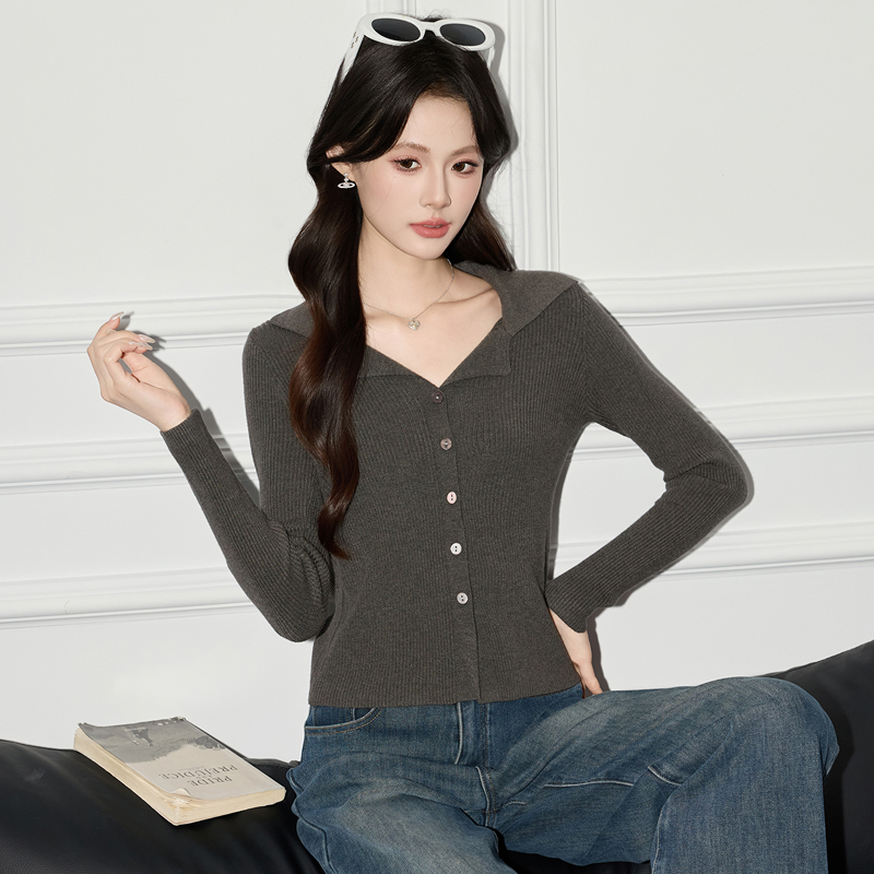 French polo collar knitted sweater for women's autumn 2025 new design, niche slim fit sweater top