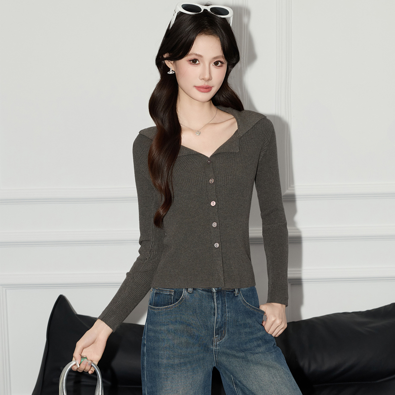 French polo collar knitted sweater for women's autumn 2025 new design, niche slim fit sweater top French polo collar knitted sweater for women's autumn 2025 new design, niche slim fit sweater top