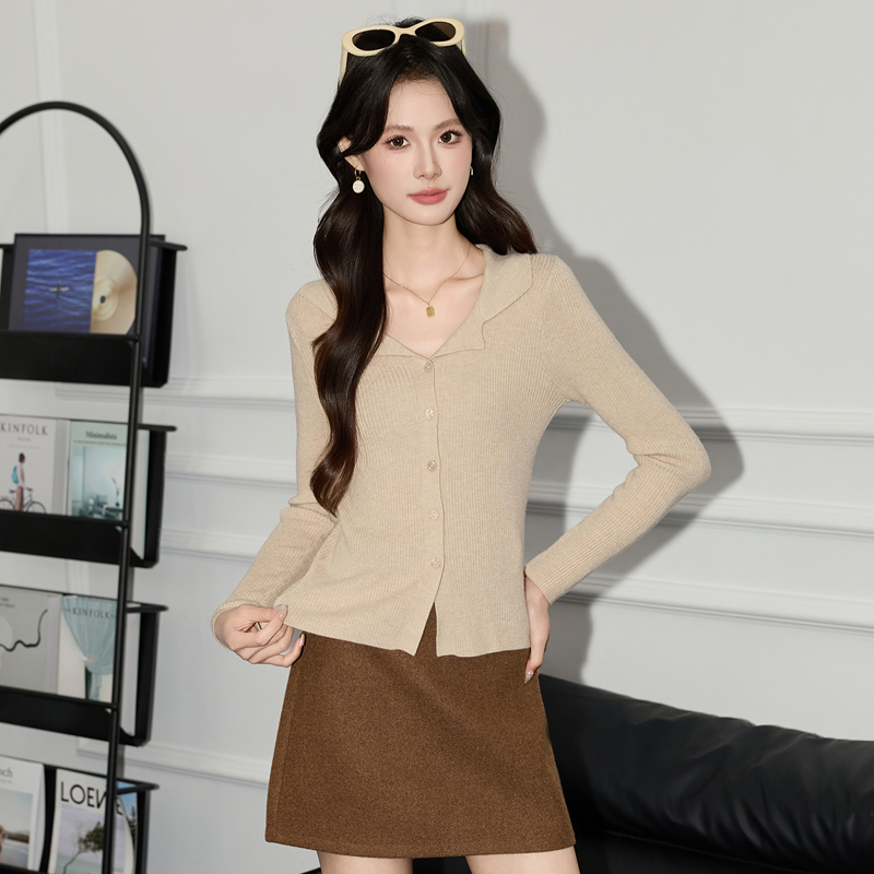 French polo collar knitted sweater for women's autumn 2025 new design, niche slim fit sweater top French polo collar knitted sweater for women's autumn 2025 new design, niche slim fit sweater top