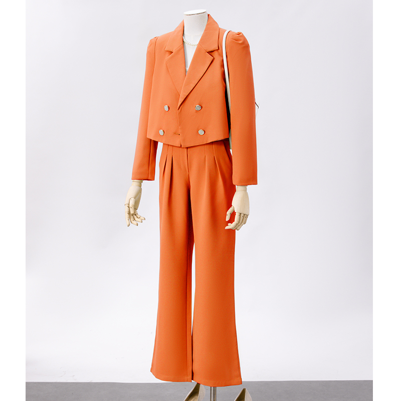 Small double breasted suit set for women in early autumn 2025, fashionable and minimalist design, niche temperament suit